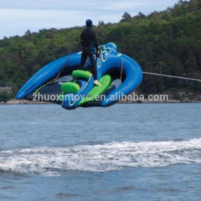 New Manta Ray Kite Tube Inflatable Flying Fish for Sale